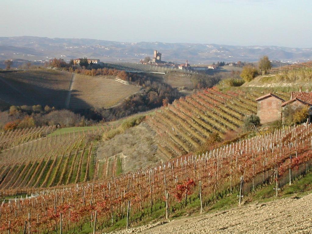 Cascina Il Ginepro Pensionat Sinio Exteriör bild